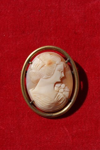 Camé brooch in brass frame