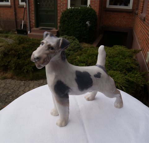 vare nr: f-Kgl. 2967 Terrier.SOLD