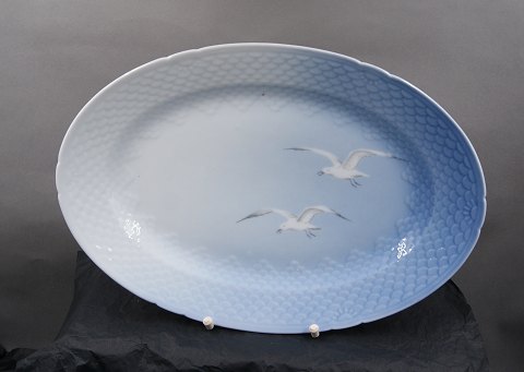 Måge uden guld porcelæn, ovalt serveringsfad nr. 16, 33,5 x 23cm