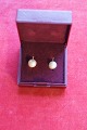 Pair of ear clips in 8K gold with pearl