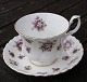 Feldviolett oder Sweet Violets Englisches 
Porzellan Geschirr. 2tlg. Teetassen